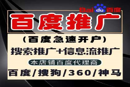 深度解析：百度竞价代理的优化策略与成功案例